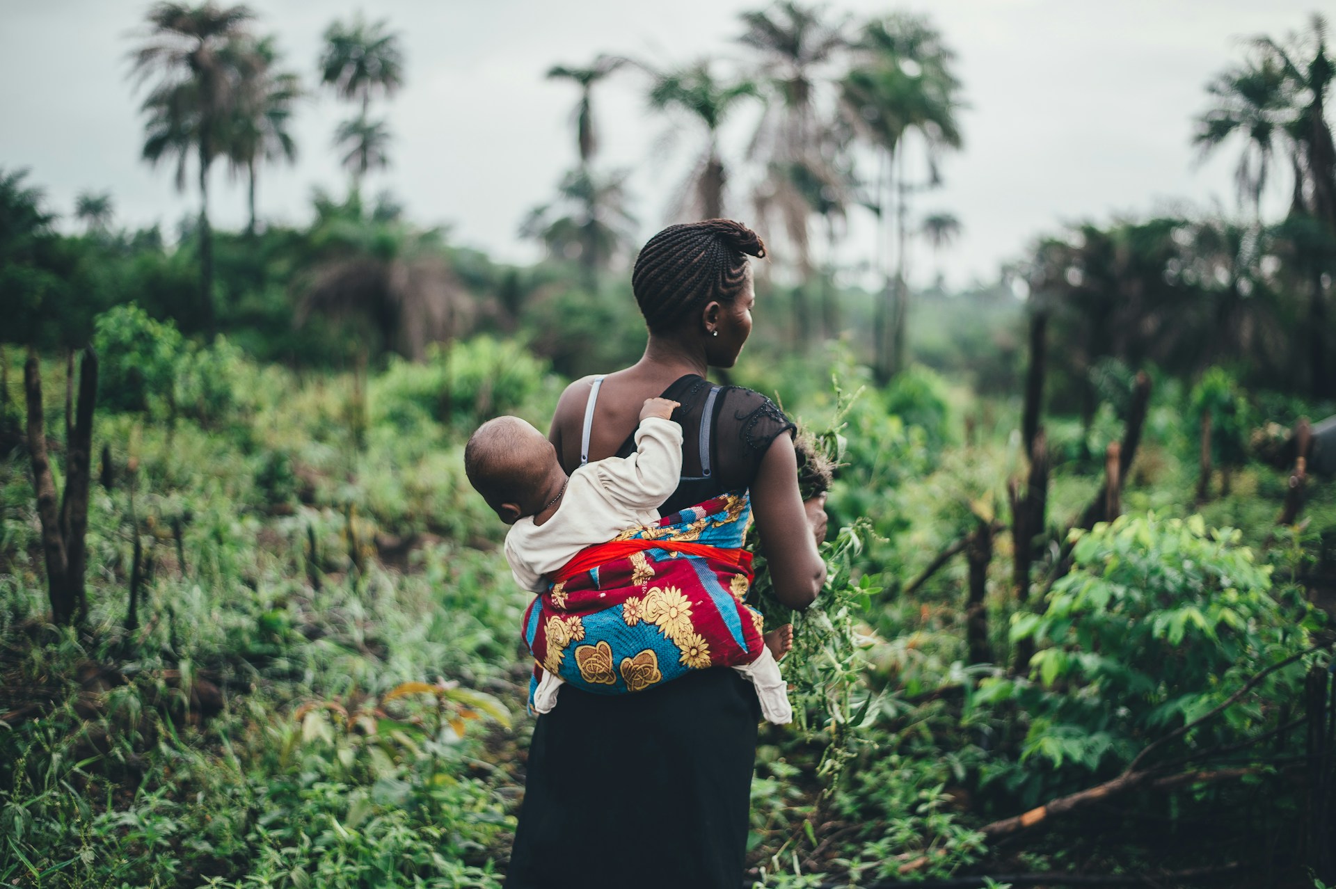 L'économie africaine