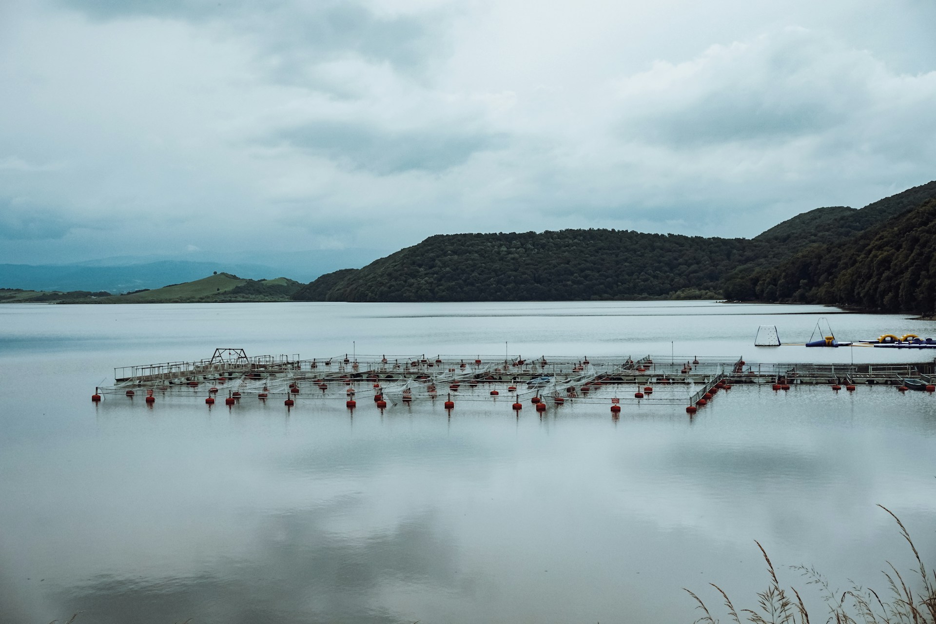 D’ici 2030, le Sénégal peut faire de l’aquaculture un levier de souveraineté, à une condition post thumbnail image